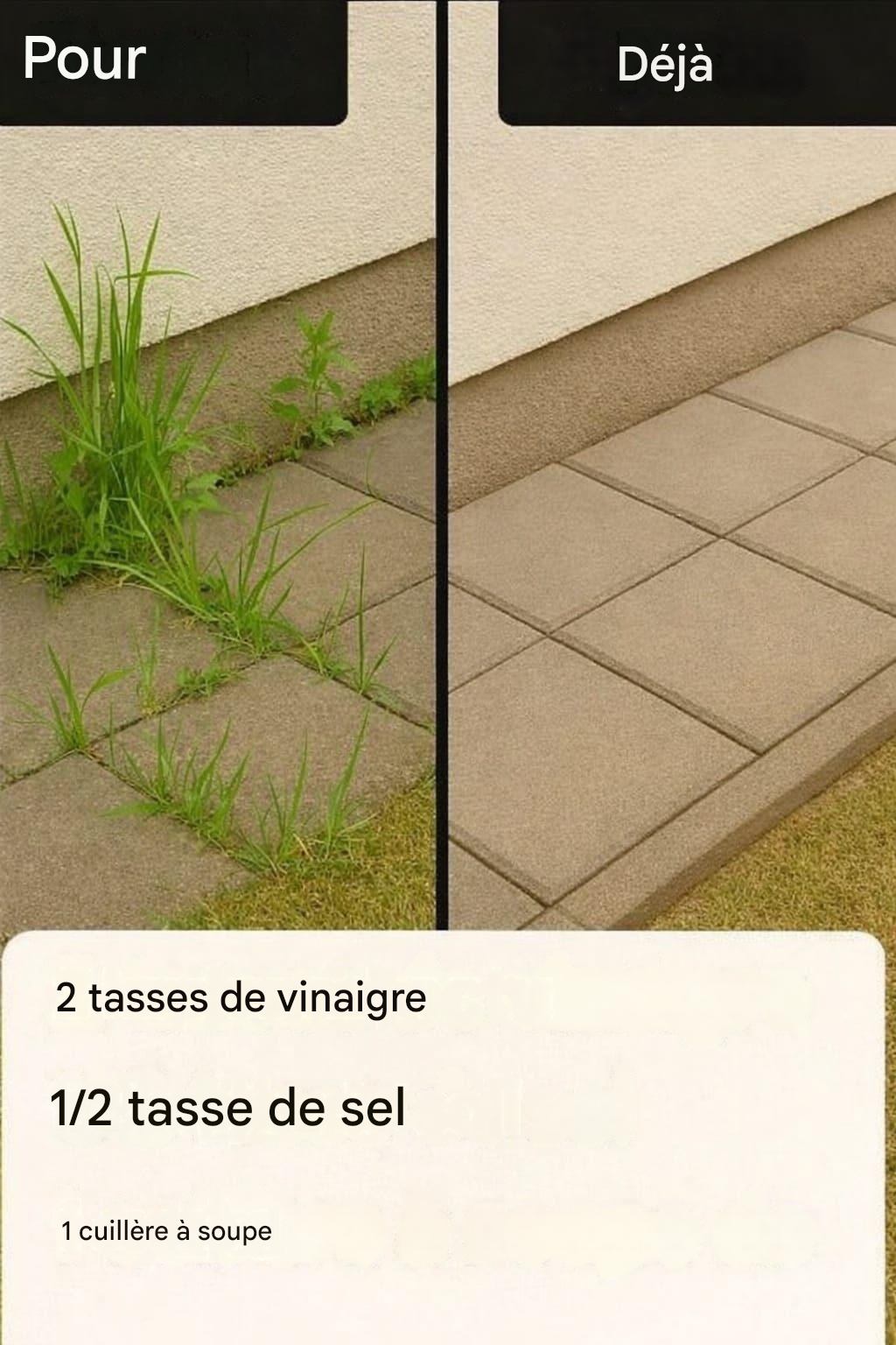 Comment fabriquer son propre herbicide super efficace