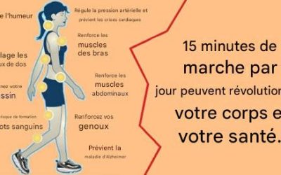 Marcher 15 minutes par jour peut transformer radicalement votre corps et votre santé.