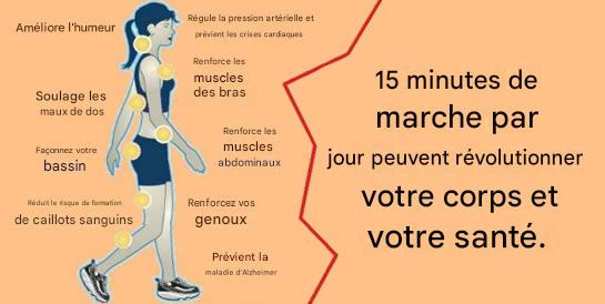 Marcher 15 minutes par jour peut transformer radicalement votre corps et votre santé.
