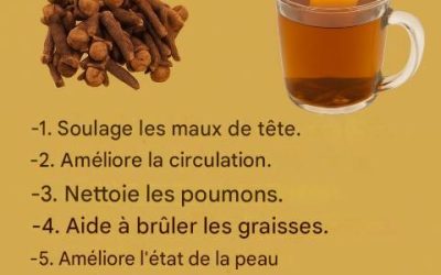« Tisane aux clous de girofle : bienfaits, recettes et précautions »
