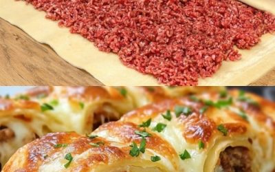 Ces tortillas au bœuf haché sont un favori de la famille chez nous !