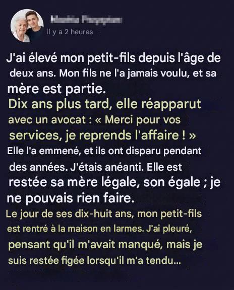 Elle m’a enlevé mon petit-fils alors que je l’élevais – des années plus tard, il est revenu transformé.