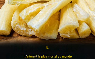 Erreurs alimentaires pouvant perturber votre digestion