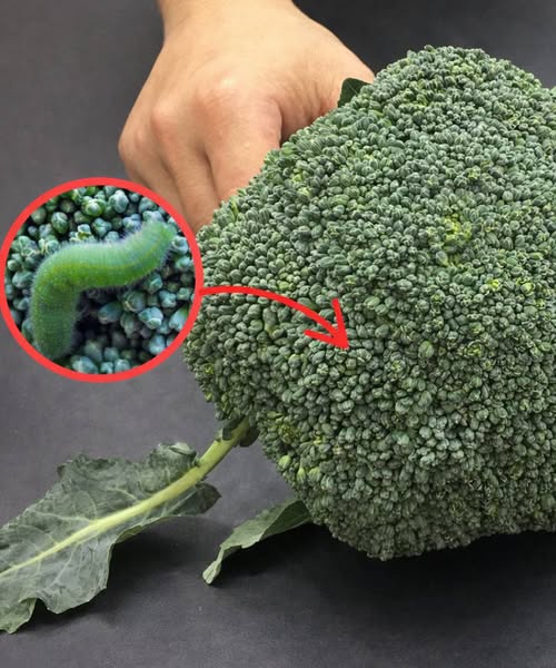 Laver les brocolis uniquement à l’eau est une erreur : voici la bonne méthode.