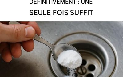 Éliminez les cafards pour toujours : la méthode simple pour déboucher votre évier