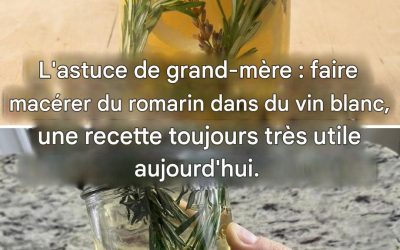 Une astuce de nos grands-mères : du romarin macéré dans du vin blanc