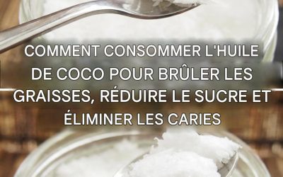 Huile de coco : brûle les graisses, élimine les caries et prévient le diabète