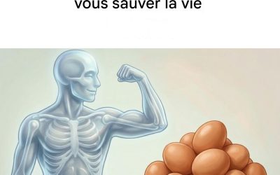 7 raisons de manger au moins 1 œuf par jour