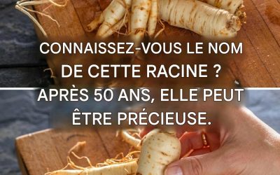 La racine qui donne de l’énergie et améliore la clarté mentale, mais seulement si elle est prise comme ceci