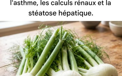 Ce légume soulage l’acidité, les ballonnements abdominaux, l’asthme, la bronchite, les calculs rénaux et la stéatose hépatique.