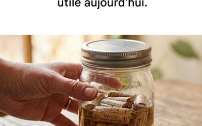 Voilà pourquoi nos grands-mères mettaient des bouchons de liège dans l’huile usagée.