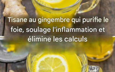 Tisane au gingembre : dissout les calculs rénaux, purifie le foie et soulage les douleurs articulaires.