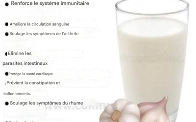 L’ail et le lait constituent une boisson délicieuse et saine.