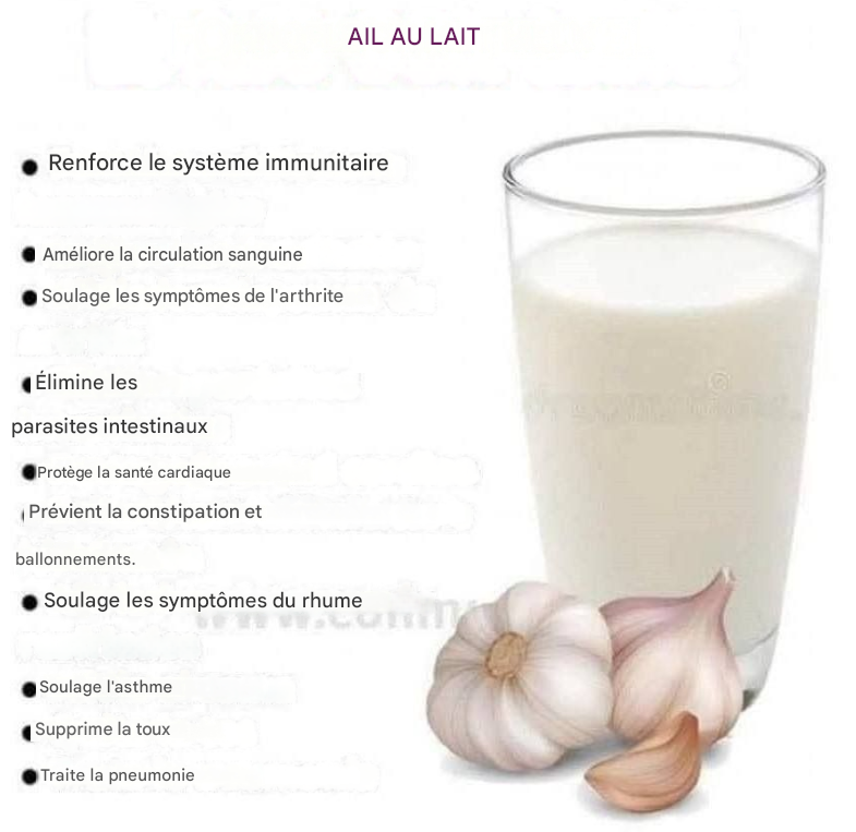 L’ail et le lait constituent une boisson délicieuse et saine.