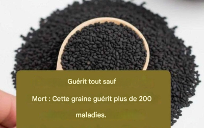 Voici la graine puissante qui guérit tout, sauf la mort.