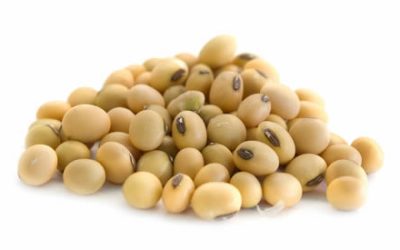 Les aliments qui augmentent la sérotonine, soulagent le stress et nous rendent plus heureux