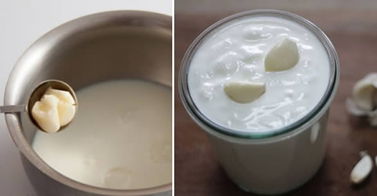Lait à l’ail : le remède ultime contre la sciatique et les douleurs dorsales