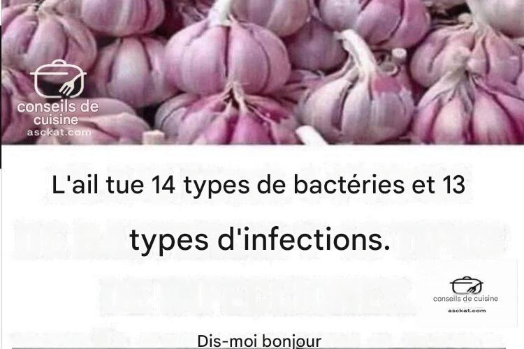 L’ail : un antibiotique naturel pour combattre les bactéries et les infections