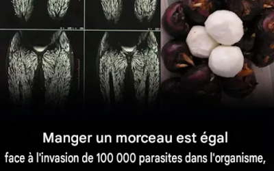 Une seule morsure peut être nocive : le danger caché des parasites alimentaires (et comment s’en protéger)