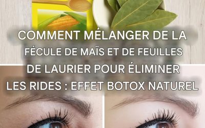 Comment combiner la fécule de maïs et les feuilles de laurier pour fabriquer une crème rajeunissante contre les rides