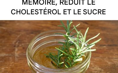 Voici comment votre corps change si vous buvez du thé au romarin tous les jours.