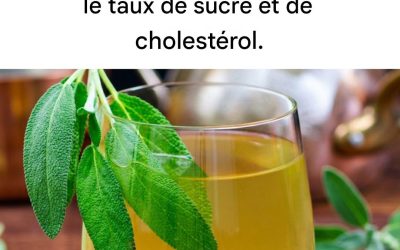La feuille qui prévient le vieillissement, soulage les douleurs articulaires, réduit le cholestérol et soigne les infections