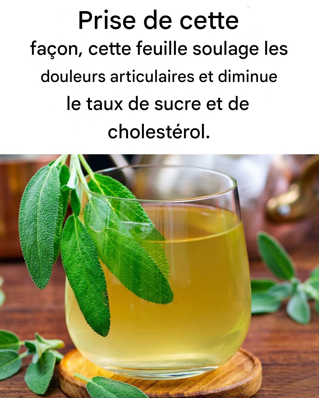 La feuille qui prévient le vieillissement, soulage les douleurs articulaires, réduit le cholestérol et soigne les infections