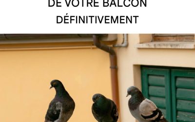 7 astuces pour éloigner les pigeons de votre balcon, afin d’éviter les dégâts et le bruit.