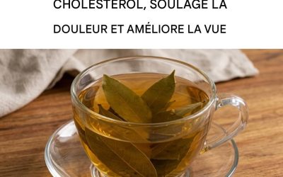 Comment préparer une décoction de laurier qui améliore la vue, abaisse la tension artérielle et soulage la douleur