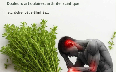 La méthode de guérison la plus efficace que vous devez connaître🌿 👇👇👇