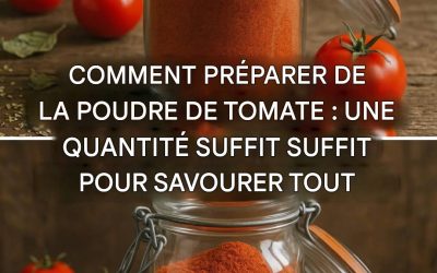 Comment faire de la poudre de tomate : délicieuse et très utile