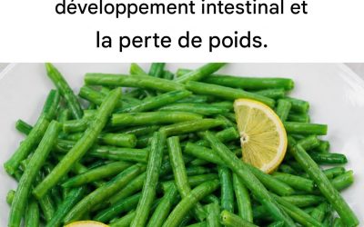 Haricots verts : propriétés, bienfaits et meilleure façon de les consommer