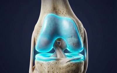 Voici comment régénérer votre cartilage du genou!