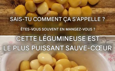 Lupins : sans gluten, riches en fibres, ils abaissent la glycémie et favorisent la perte de poids.