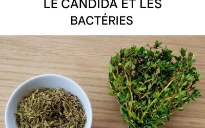 La plante qui détruit l’herpès, le candida, les virus de la grippe et les bactéries