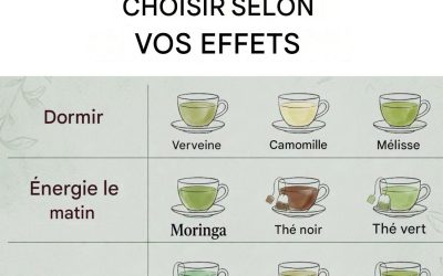 Une tisane pour tout