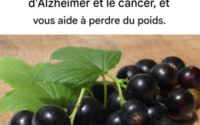 La baie qui prévient le vieillissement, la maladie d’Alzheimer, les rides et qui aide à perdre du poids