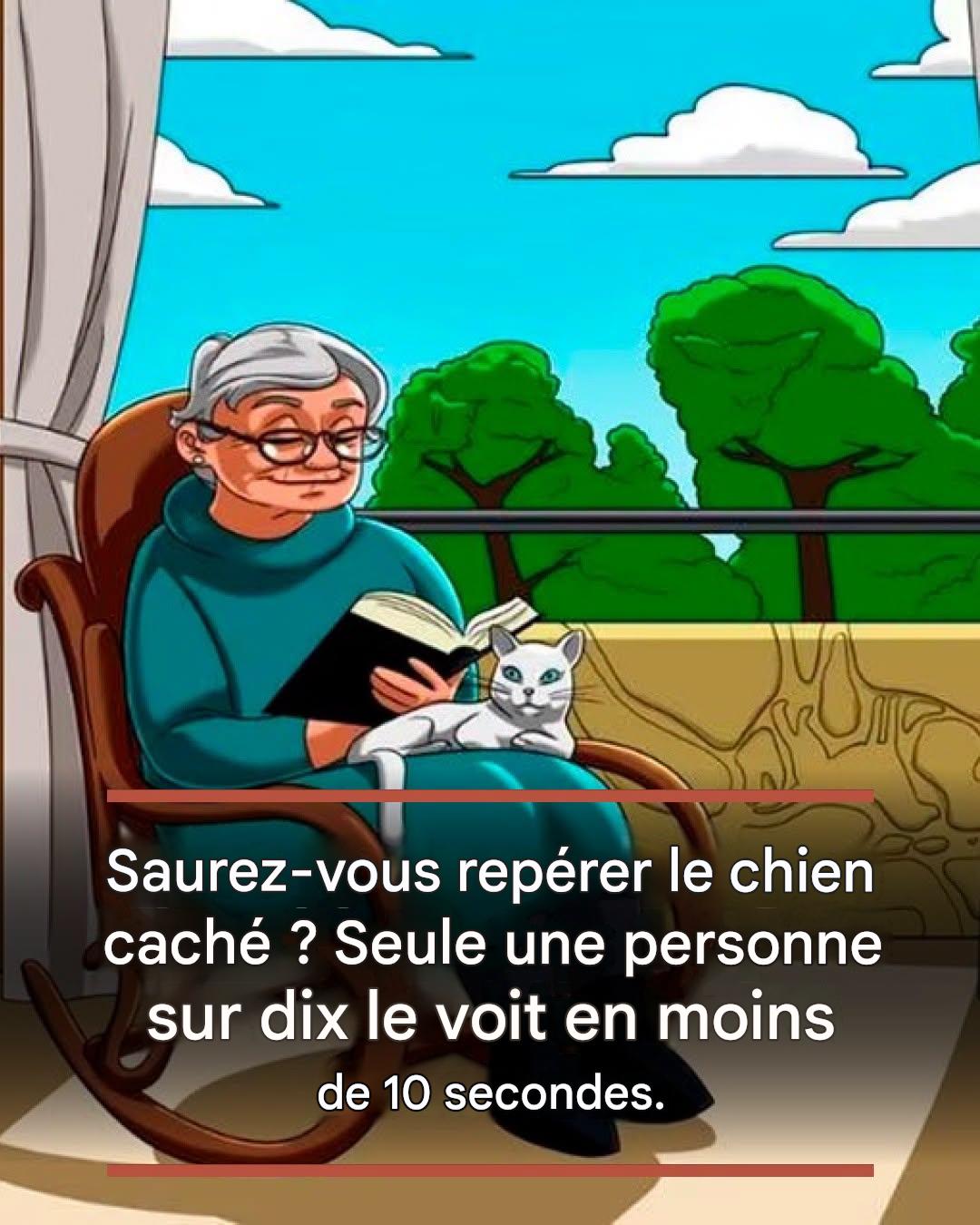 Saurez-vous repérer le chien caché ? Seule une personne sur dix le voit en moins de 10 secondes.
