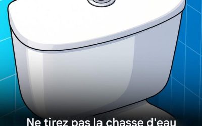 Tirer la chasse d’eau : pourquoi ne pas la tirer à chaque fois ?