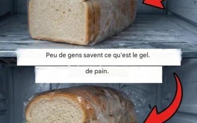 Guide pratique pour congeler correctement le pain