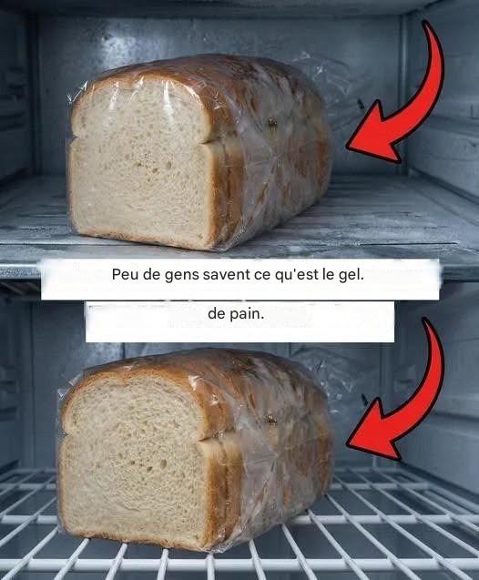 Guide pratique pour congeler correctement le pain