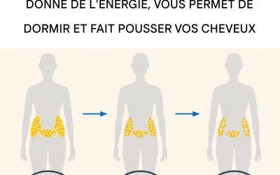 Comment activer l’hormone qui favorise la perte de poids, donne de l’énergie, combat l’insomnie et la chute des cheveux