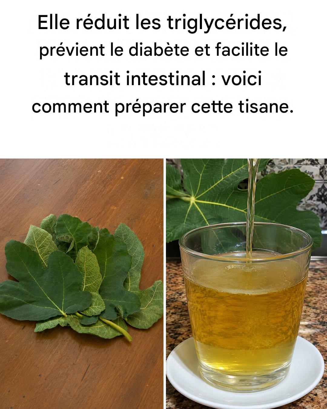 Le thé aux feuilles de figuier : ses propriétés incroyables et comment le préparer