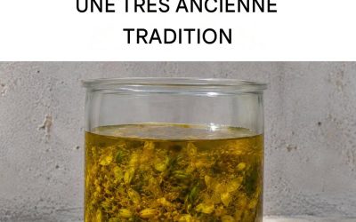 Comment préparer l’huile de millepertuis, le remède de grand-mère contre les rides, la peau sèche et les coups de soleil.