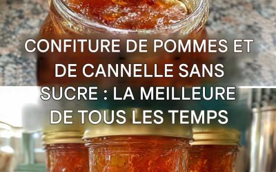 Confiture de pommes et de cannelle sans sucre : délicieuse, saine et adaptée aux régimes.