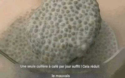 Une seule cuillère à café par jour suffit ! Elle réduit le mauvais cholestérol, nettoie les artères, régule la glycémie et diminue même la faim.