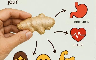 Gingembre : voici pourquoi vous devriez en manger tous les jours