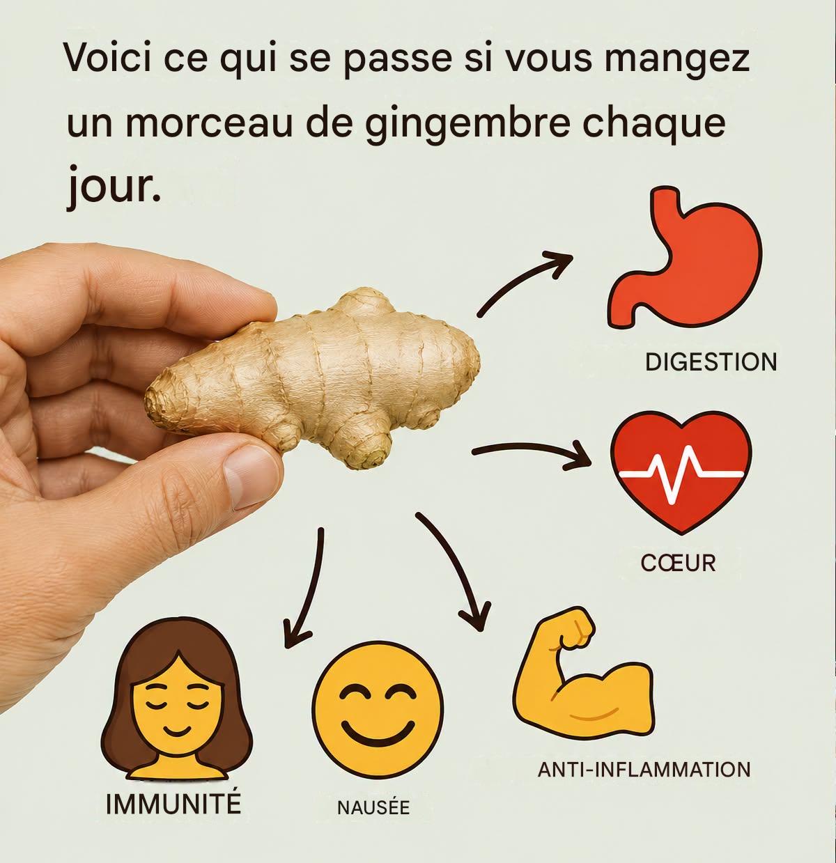 Gingembre : voici pourquoi vous devriez en manger tous les jours