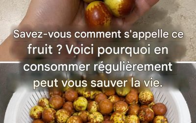 Jujubes : leur goût, comment les consommer et tous leurs bienfaits.