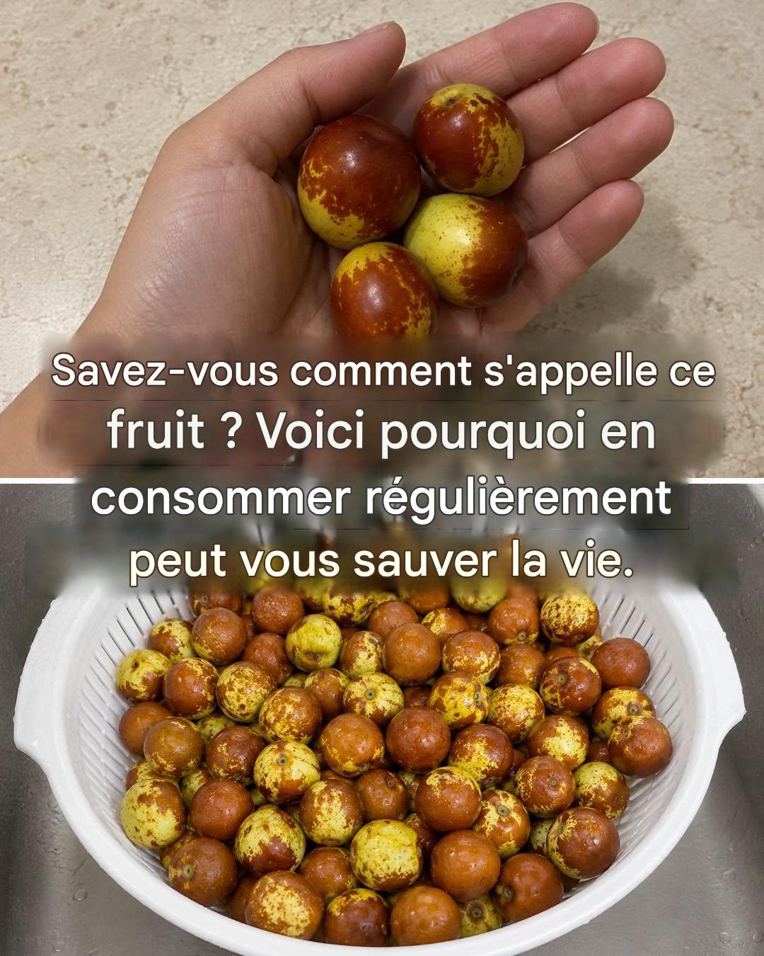 Jujubes : leur goût, comment les consommer et tous leurs bienfaits.